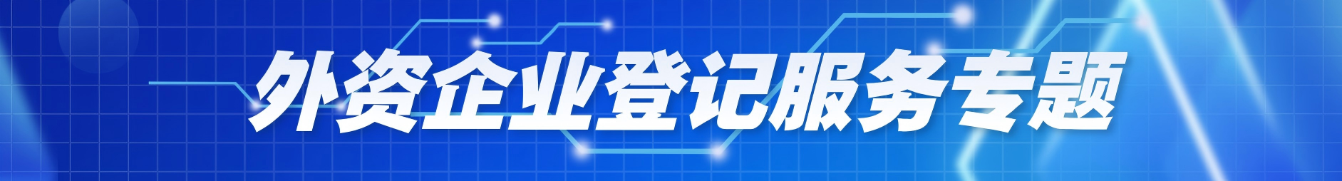 外资企业登记服务